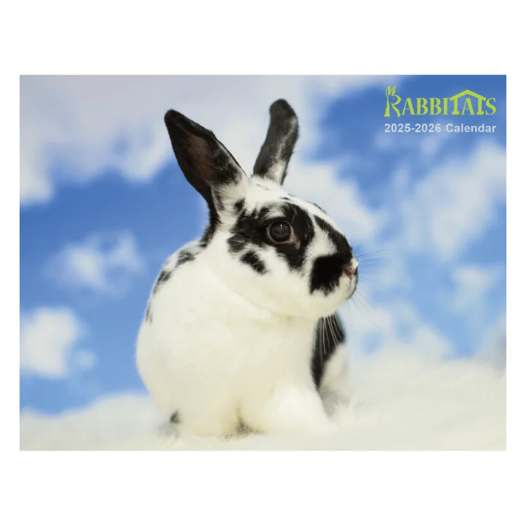 - ​​Christmas pet Christmas clothingRabbitats 2025 Calendar