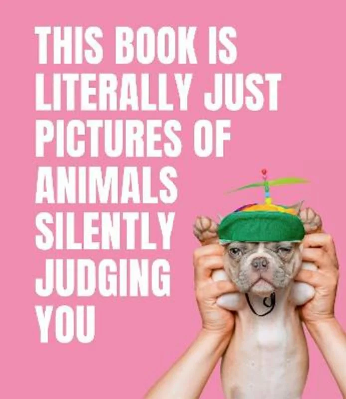- Rabbit grass rack to prevent waste food boxThis Book is Literally Just Pictures of Animals Silently Judging You - Rabbit grass rack to prevent waste food boxThis Book is Literally Just Pictures of Animals Silently Judging You
