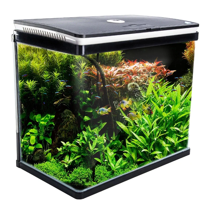 - Teething and chewing toys for puppiesDynamic Power Aquarium Fish Tank 52L Curved Glass RGB LED - Teething and chewing toys for puppiesDynamic Power Aquarium Fish Tank 52L Curved Glass RGB LED