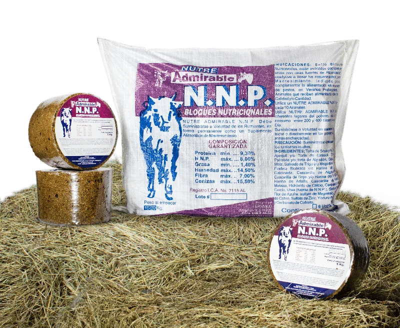 - Winter dog thick down jacketBloque Nutricional N N P - 5Kg