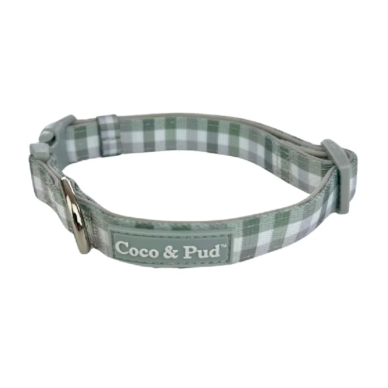 - Pet diabetes prescription foodGingham Olive Grey Dog Collar