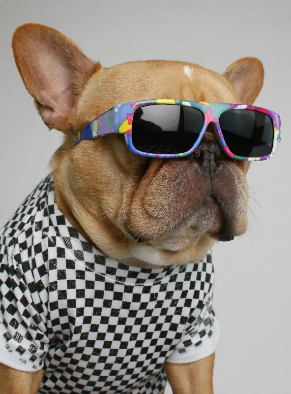Pet cartoon pattern clothesAlaskan Summer Sunglasses
