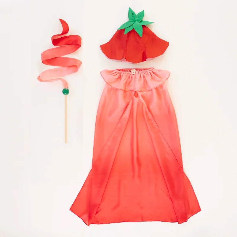 - Natural latex pet mattressCostume Strawberry Cape