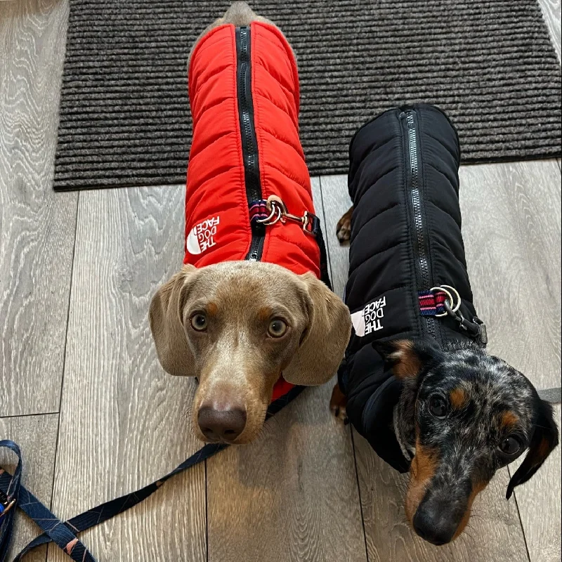 - Dog heart rate monitoring collarThe Dog Face Jacket for Dachshund