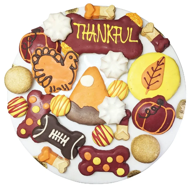 - Special food for senior dogsThankful Dog Treats Gift Box