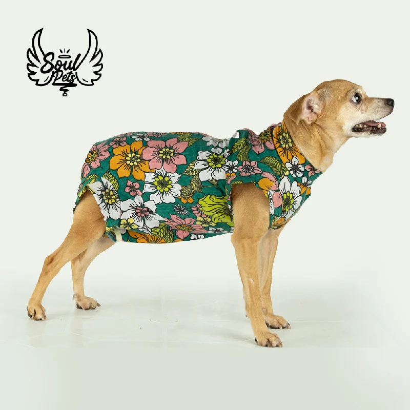 - Winter warm clothes for short-haired dogsFaja Postquirurgica Hembra xs Gato O Perro - Winter warm clothes for short-haired dogsFaja Postquirurgica Hembra xs Gato O Perro
