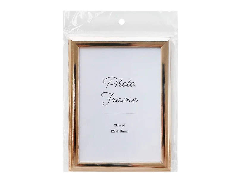 - Cat anti-jump window safety netPhoto frame gold 2L PF-57