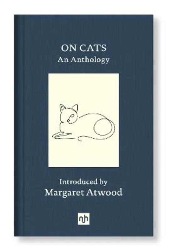 - Postoperative pet anti-licking Elizabethan collarOn Cats