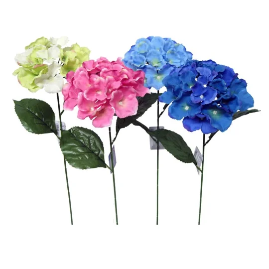 - Parrot climbing and standing wooden frameHydrangea