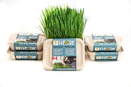    - Where to buy imported cat food  Fog Farms Grow@Home Oat Kit
