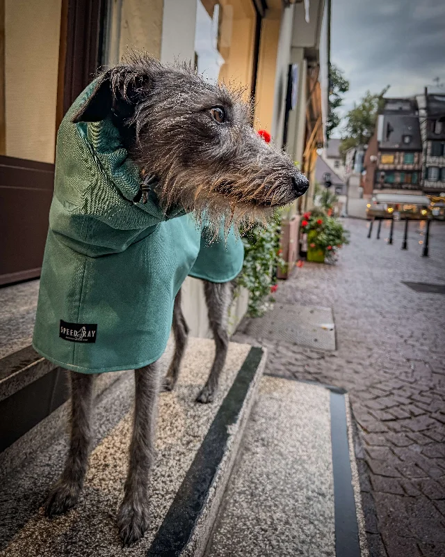 - Degradable pet feces bagTHE ELSA Lightweight, Water Resistant, Whippet Raincoat