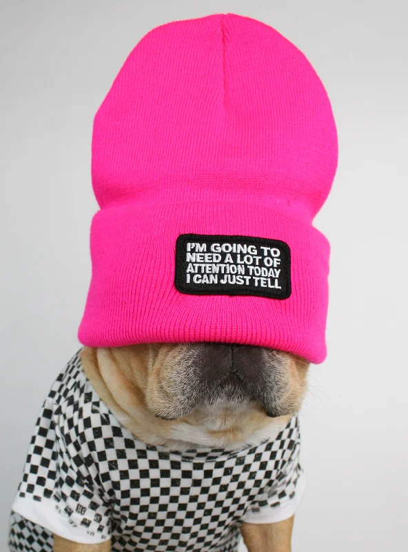 Pet winter warm clothesNeed Attention Beanie