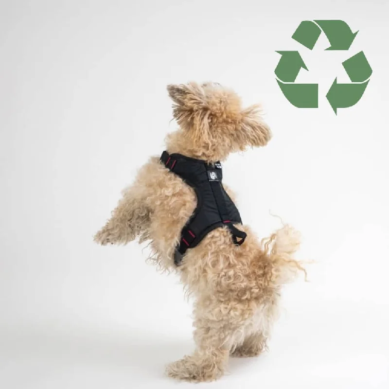 - Natural latex pet mattressHarness for city dogs