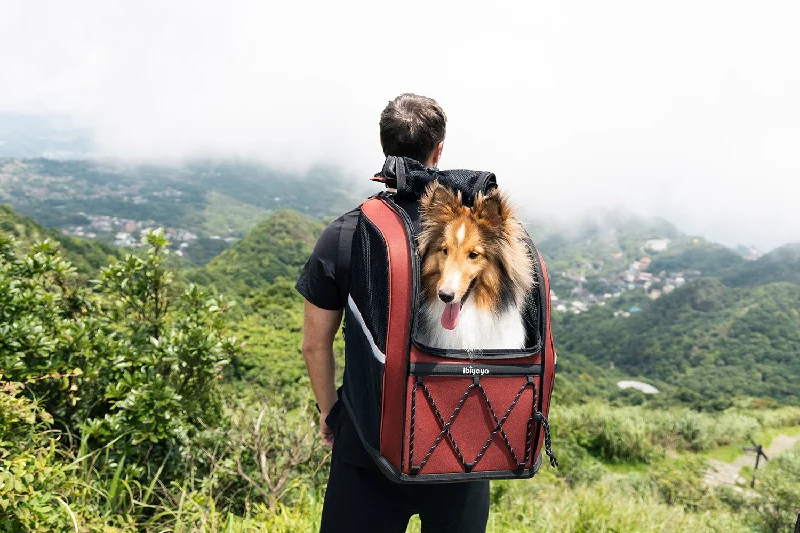 - Winter dog thick down jacketIbiyaya Champion 3-in-1 Carrier, Backpack & Car Seat for Dogs up to 12kg - Winter dog thick down jacketIbiyaya Champion 3-in-1 Carrier, Backpack & Car Seat for Dogs up to 12kg