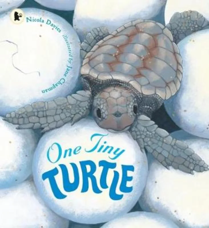 Pet ProductsOne Tiny Turtle