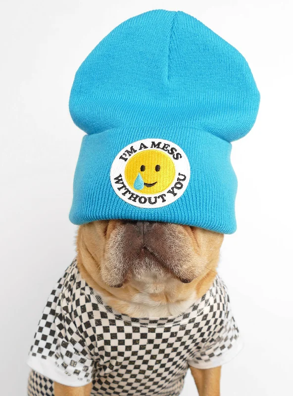 Classification by season or weather:I'm A Mess Without You Beanie