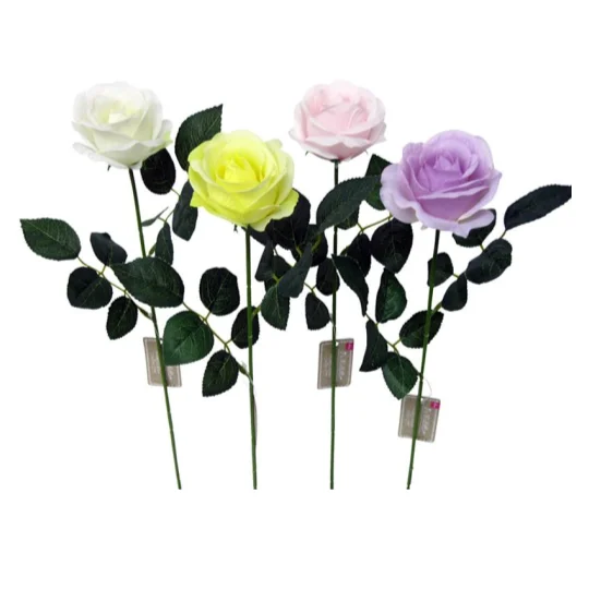 - Pet monitor with cameraSingle Rose - Claire