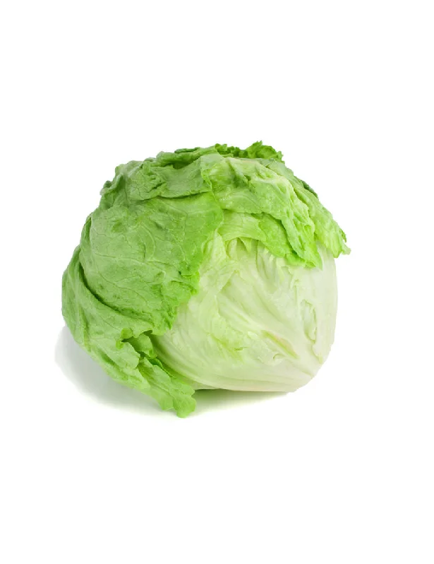- Parrot climbing and standing wooden frameICEBERG (LETTUCE)