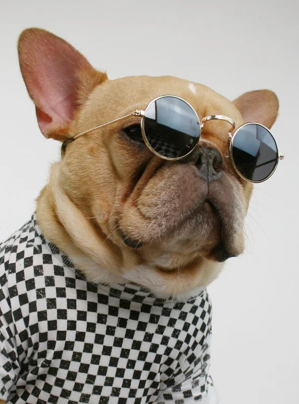 Classification by brand or style:The Loveless Sunglasses