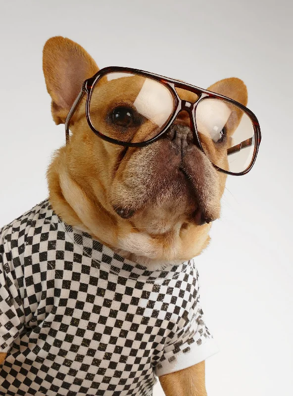 Classification by brand or style:The Tennis Pro Glasses
