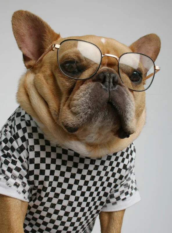 Large dog clothesThe Azoff Glasses