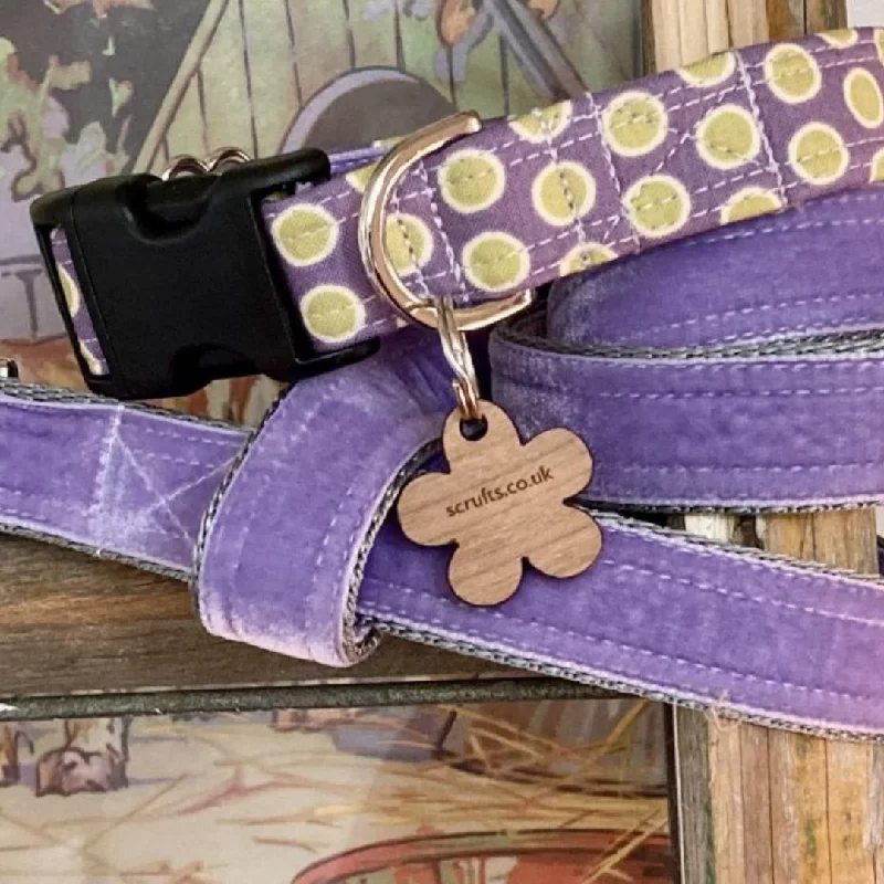 - Foldable and portable cat bagLily Apple Spot Dog Collar and Lead Set
