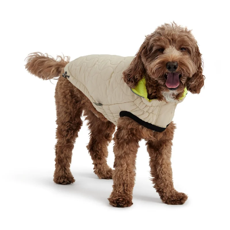 - Dog disposable foam shower gelGF Pet Elasto-Fit Reversible Chalet Dog Jacket in Sand/Lime - Dog disposable foam shower gelGF Pet Elasto-Fit Reversible Chalet Dog Jacket in Sand/Lime