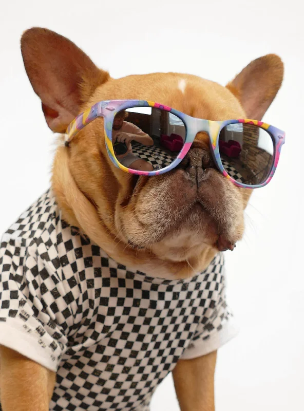 Small dog clothesFar West Sunglasses