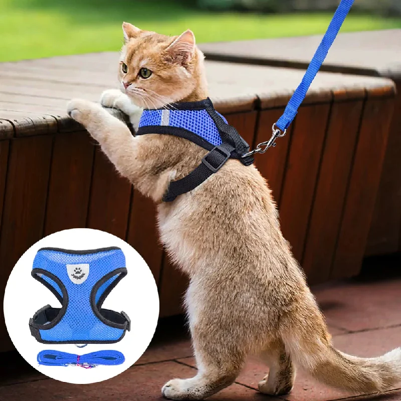 - Dog disposable foam shower gelCat Dog Pet Harness Adjustable Control Vest Dogs Reflective S M L XL Leash - Dog disposable foam shower gelCat Dog Pet Harness Adjustable Control Vest Dogs Reflective S M L XL Leash