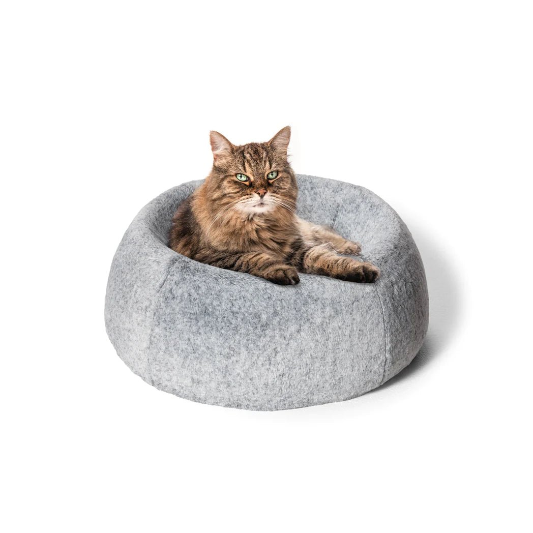 - Hamster silent running wheel to prevent chewingSnooza – Cat Memory Nest