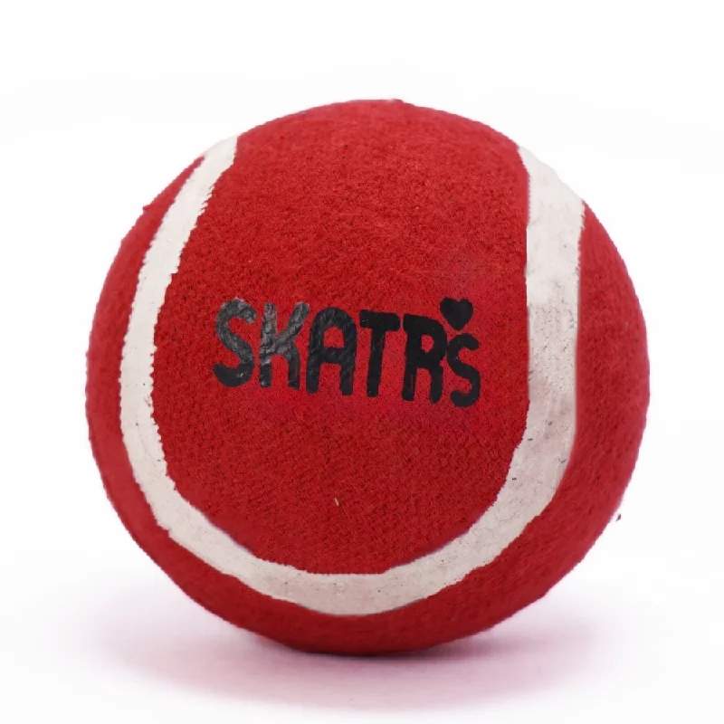 - Summer pet ice matSkatrs Tennis Ball for Dogs (Red)