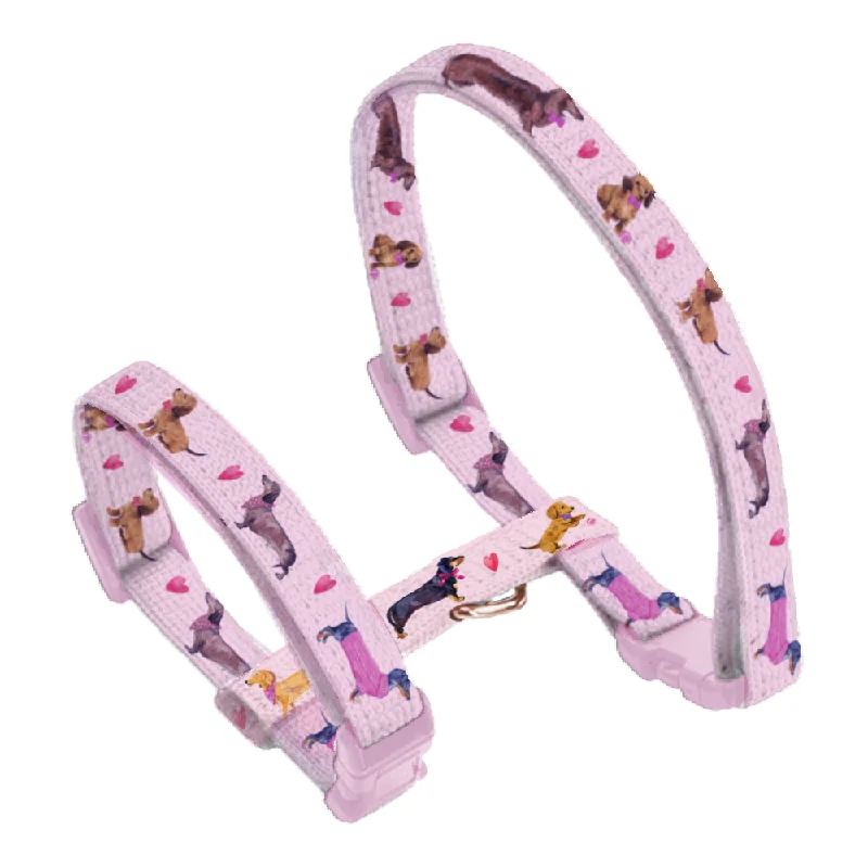 - Teething and chewing toys for puppiesDoxie Rose Puppy Harness