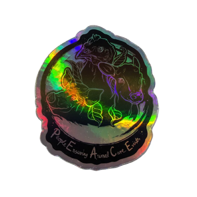 Holographic