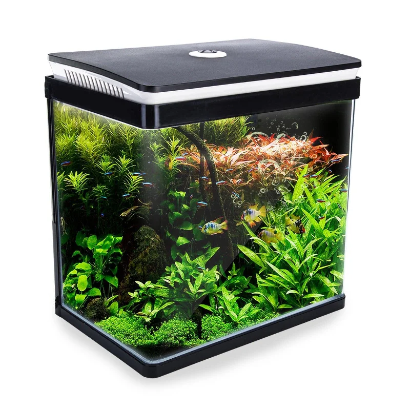 - Pet diabetes prescription foodDynamic Power Aquarium Fish Tank 30L Curved Glass RGB LED - Pet diabetes prescription foodDynamic Power Aquarium Fish Tank 30L Curved Glass RGB LED