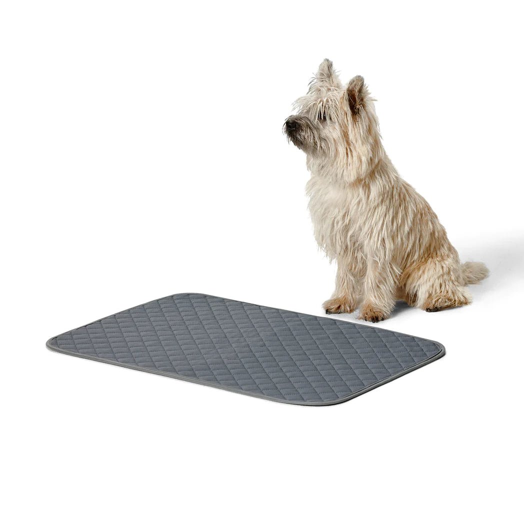 - Winter warm clothes for short-haired dogsSnooza – Washable Pee Pad