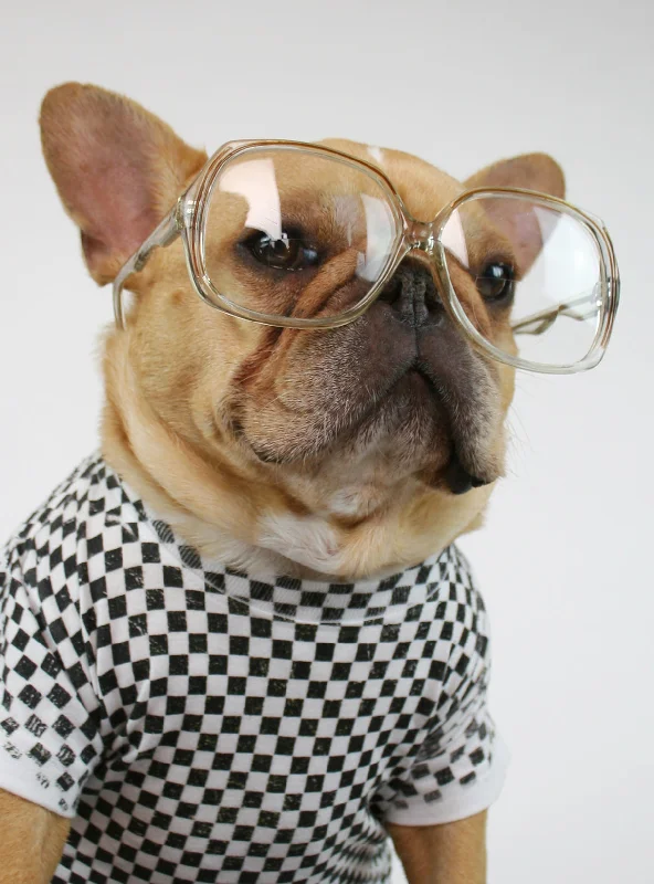 Pet Halloween clothesThe Barb Glasses