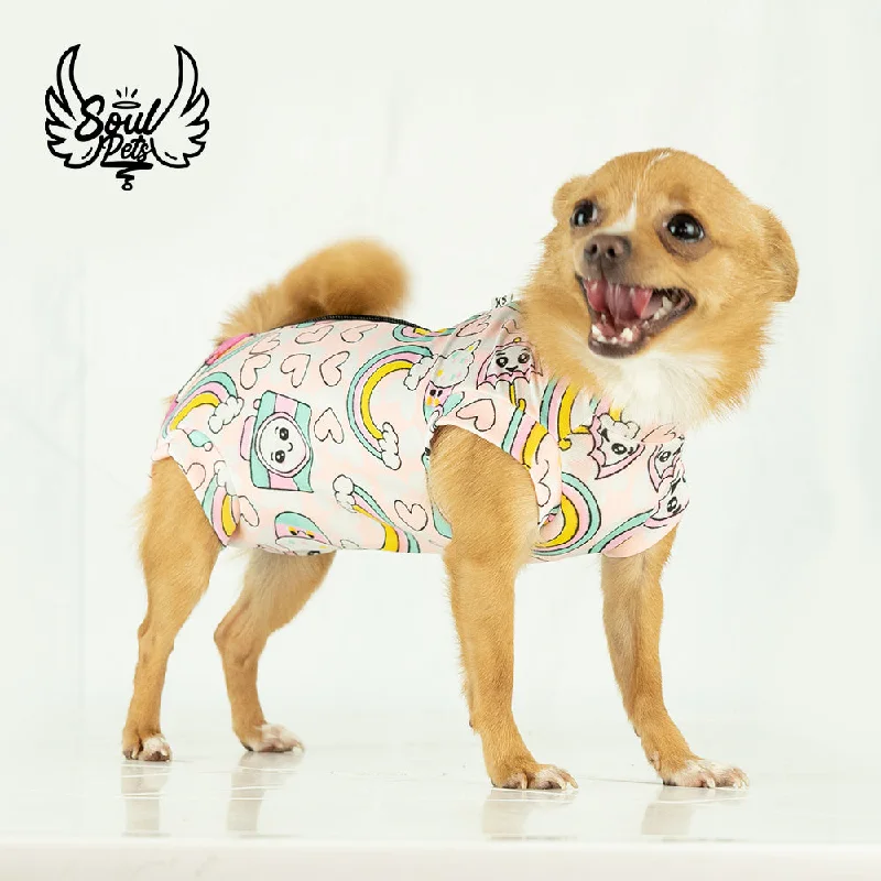 - Custom pet birthday cakeFaja Postquirurgica Hembra xl Gata O Perra