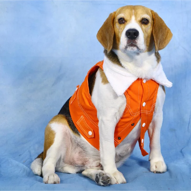 - Winter dog thick down jacketDogobow Denim Jacket for Dogs and Cats (Orange) (Get a Bow Free) - Winter dog thick down jacketDogobow Denim Jacket for Dogs and Cats (Orange) (Get a Bow Free)