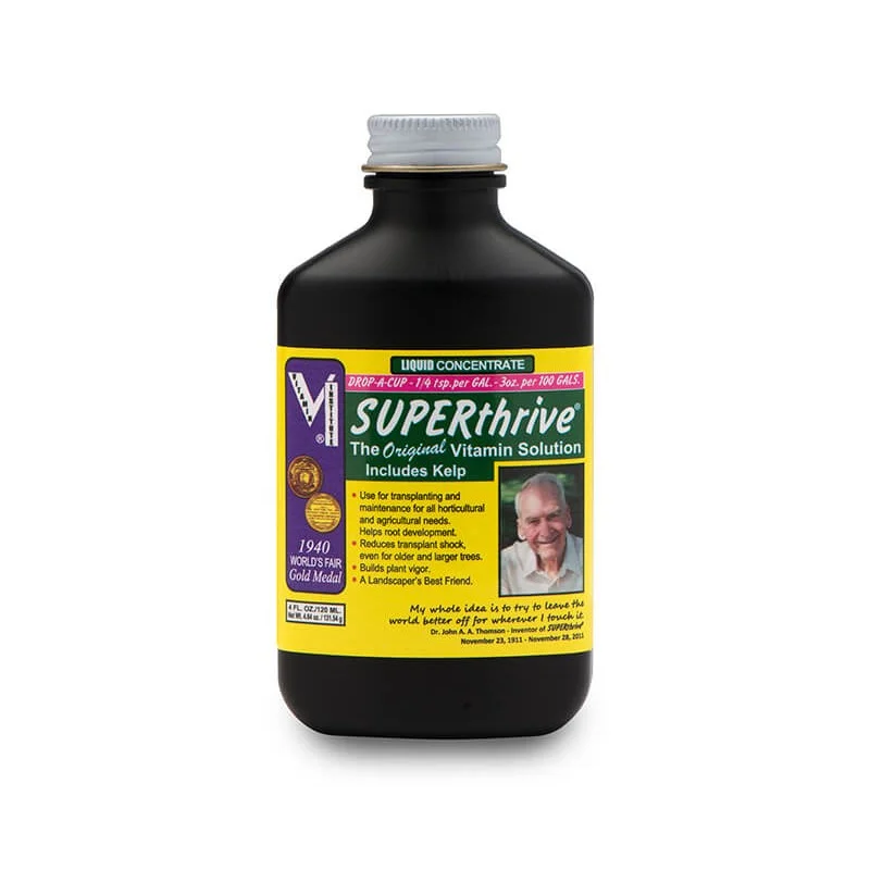 - Pregnant cat delivery room warming boxSuperthrive 30Ml
