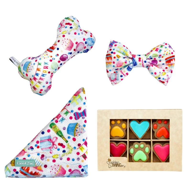 - Pregnant cat delivery room warming boxPawsome Party Mini Dog Birthday Hamper - Multicolour - Pregnant cat delivery room warming boxPawsome Party Mini Dog Birthday Hamper - Multicolour
