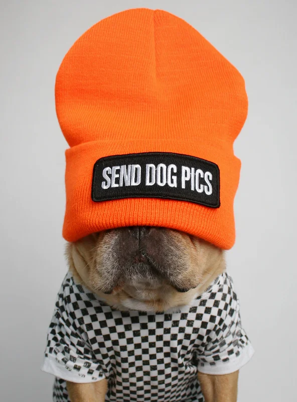 Pet night clothes with LED lightsSend Dog Pics Beanie