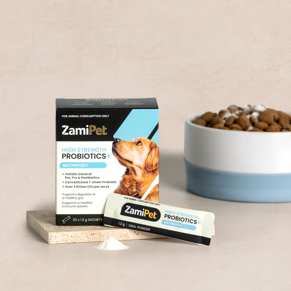 - Cat hair ball removal and hair removal creamZamiPet – High Strength Probiotics+