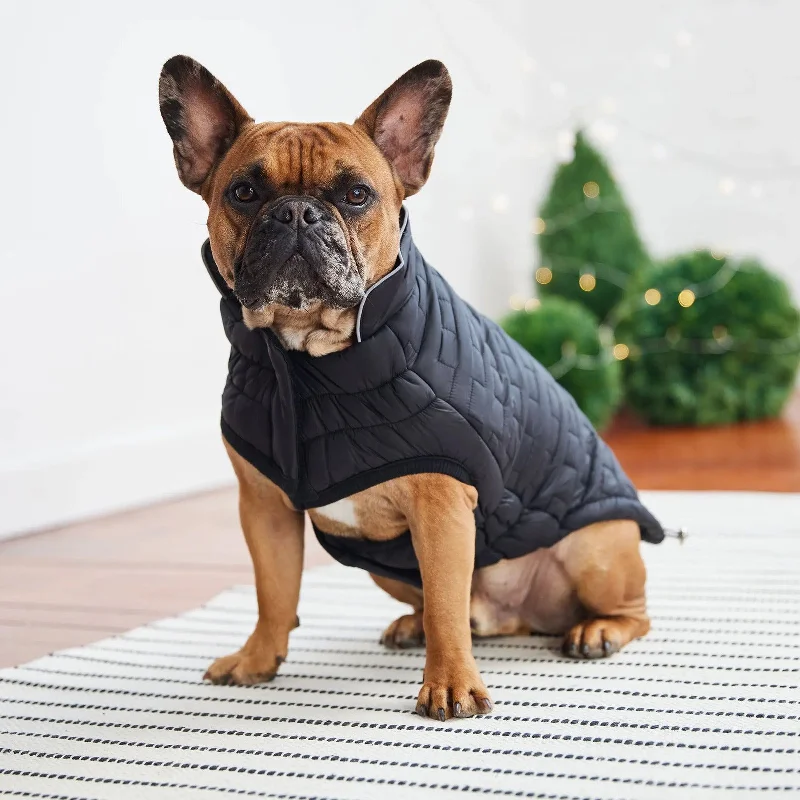  -Anti-slip claw protection raincoat FOR dogsGF Pet Elasto-Fit Reversible Chalet Dog Jacket in Black