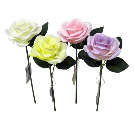  -Non-contact cat thermometerSingle Rose - Claire