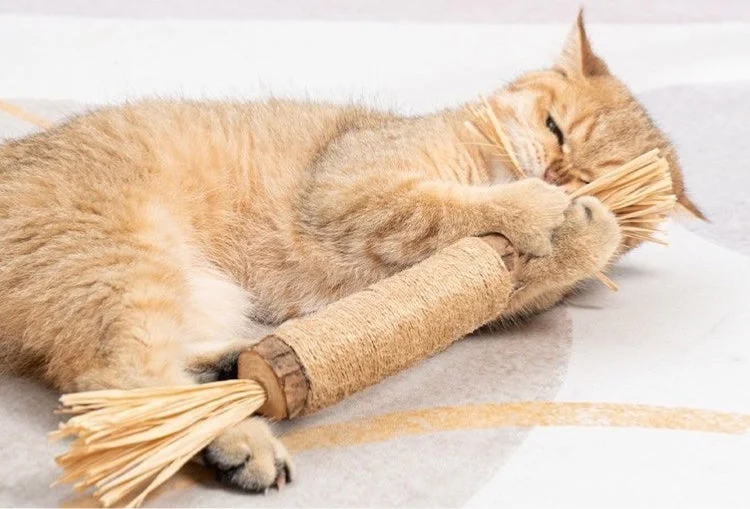 ---Cat Chew Sticks - Large 12"