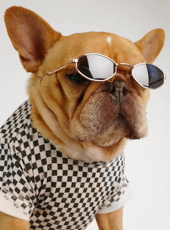 XX brand pet fashionThe Matrix Sunglasses