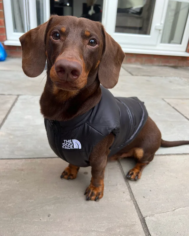 - Organic cotton dog bibsThe Dog Face Dachshund Puffer