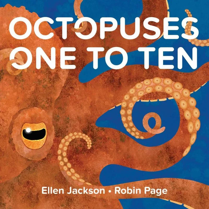 - Pregnant cat delivery room warming boxOctopuses One to Ten