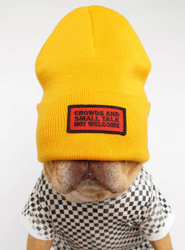 Classification by pet type:Small Talk Beanie