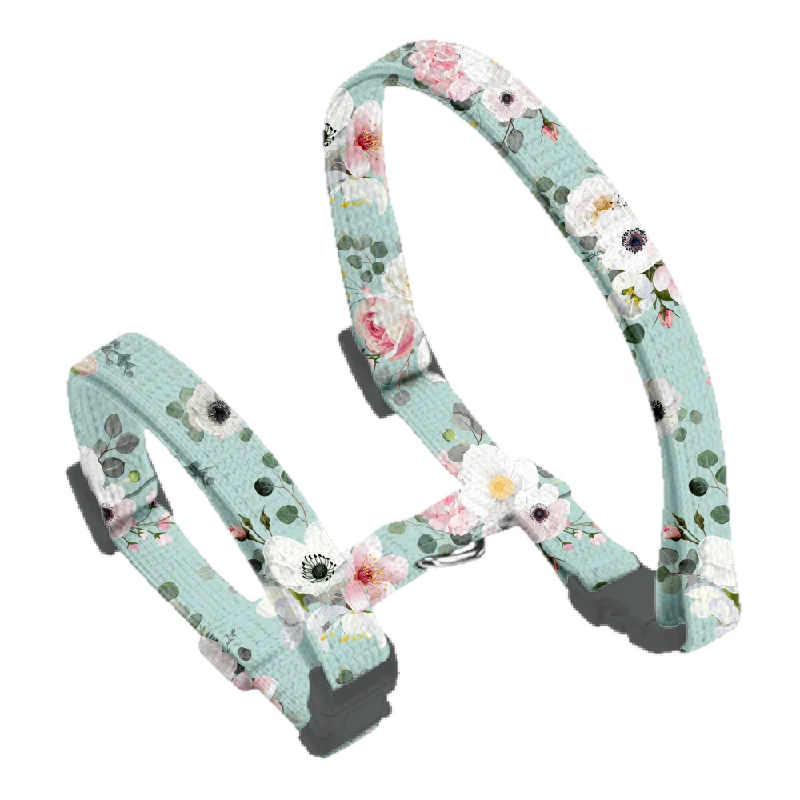- Pet tear stain cleaning wipesFrench Azure Puppy Harness